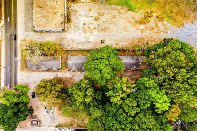 a view of a yard with plants