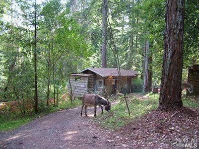 1877 Jonive Road Sebastopol, CA 95472 - Photo 5 of 10 Granny Unit. Donkey's not included