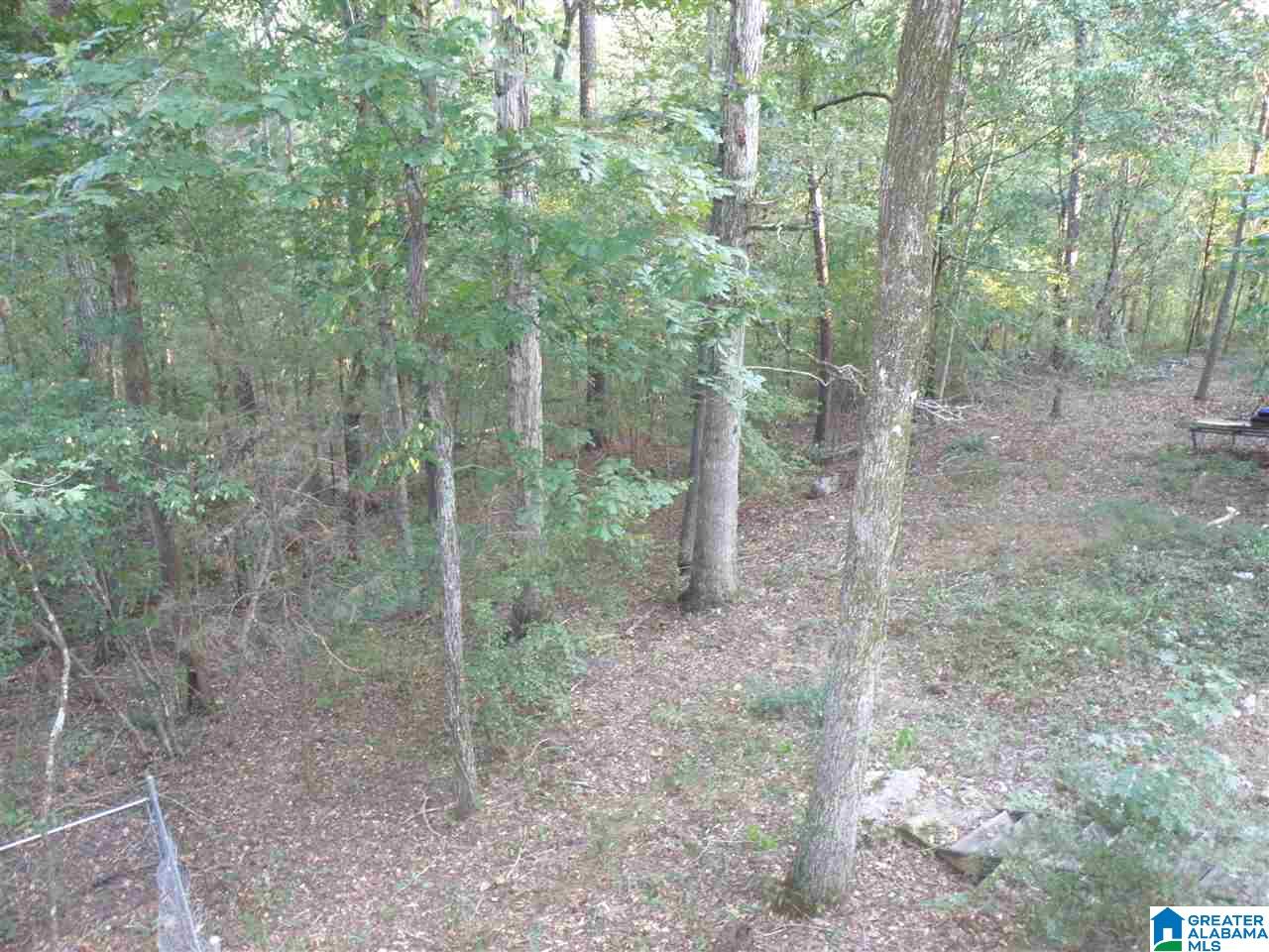 800 Mill Creek Road Warrior, AL 35180 - Photo 32 of 36