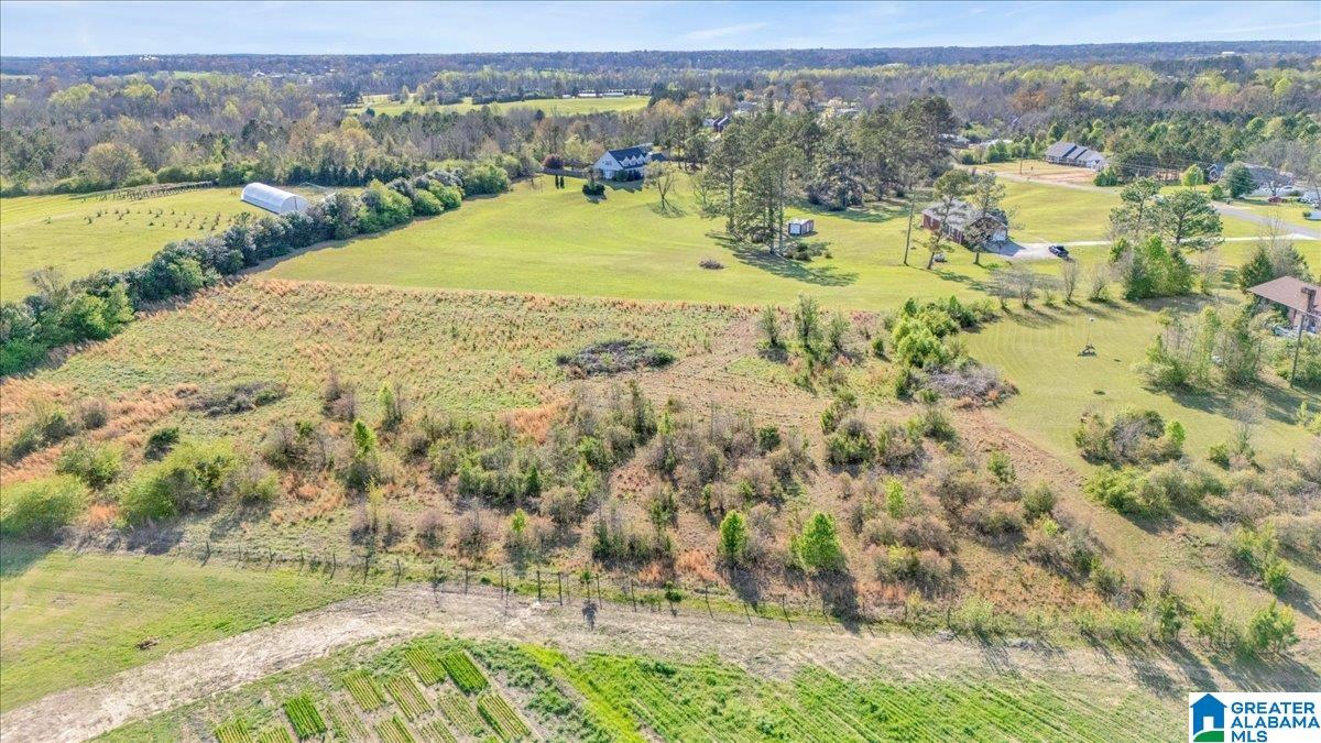 5145 County Road 43 Clanton, AL 35045 - Photo 34 of 34