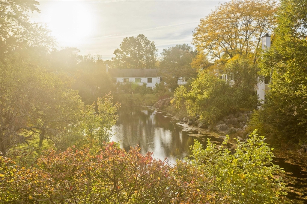 29 Concord Greene, Unit 2 Concord, MA 01742 - Photo 33 of 34