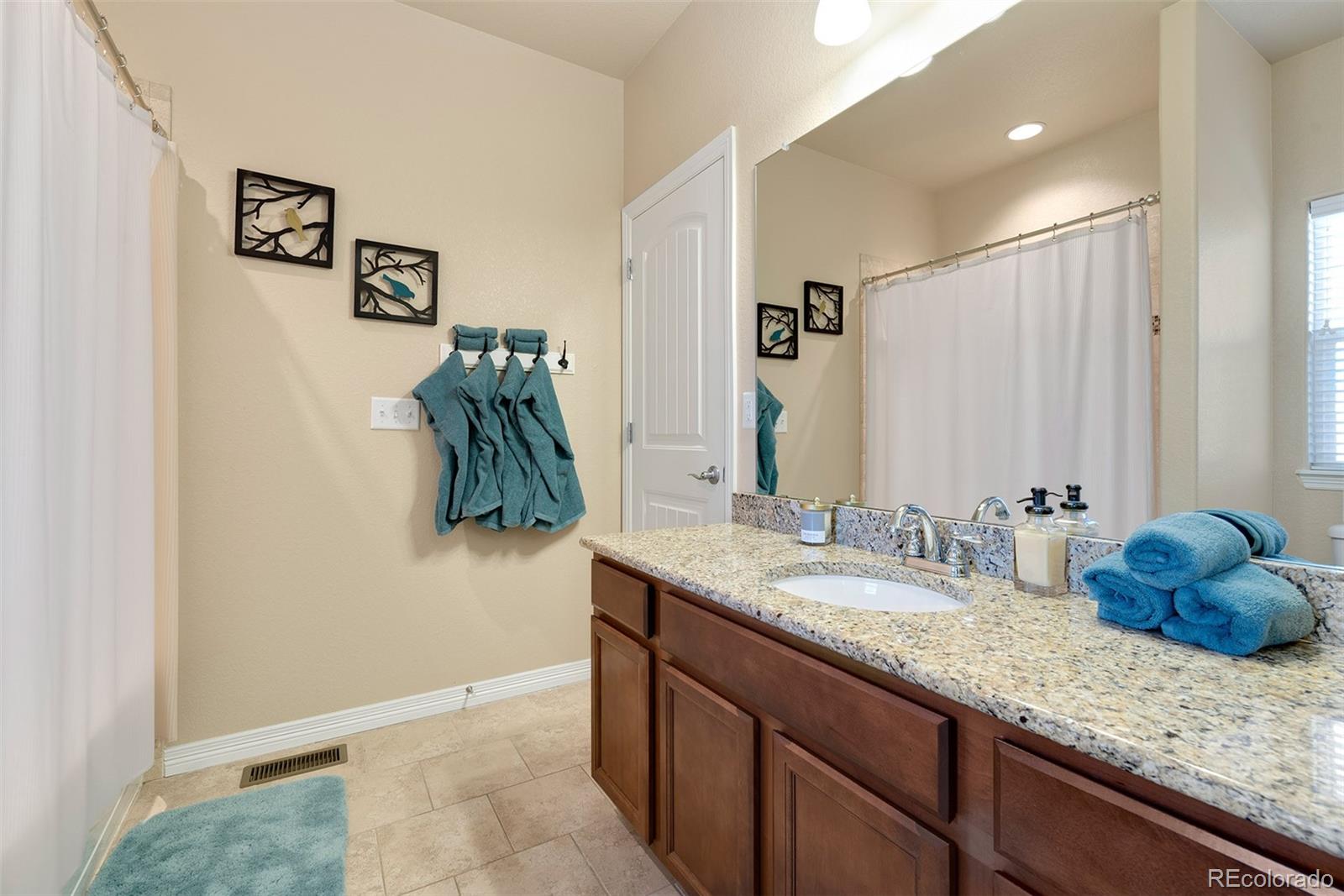 1901 Timber Ridge Parkway Severance, CO 80550 - Photo 4 of 29 Gallery Image 4