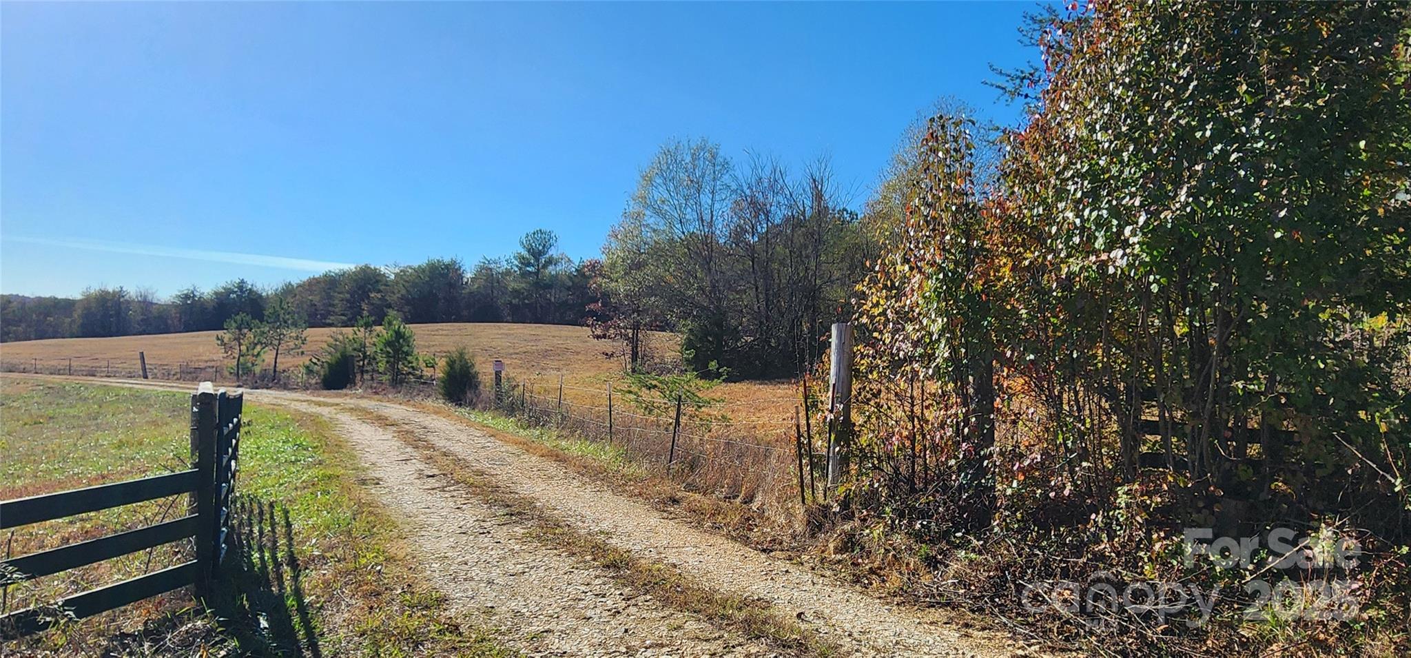 151 Cobb Road Blacksburg, SC 29702 - Photo 12 of 45 a view of a pathway with a yard