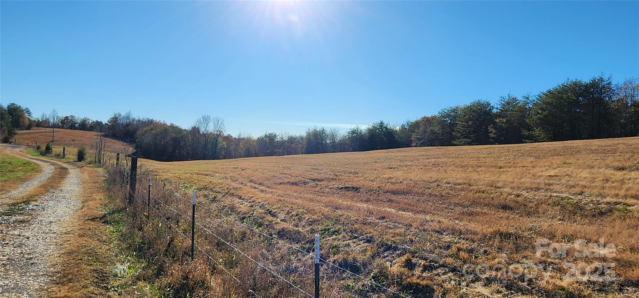 151 Cobb Road Blacksburg, SC 29702 - Photo 13 of 45 a view of an outdoor space