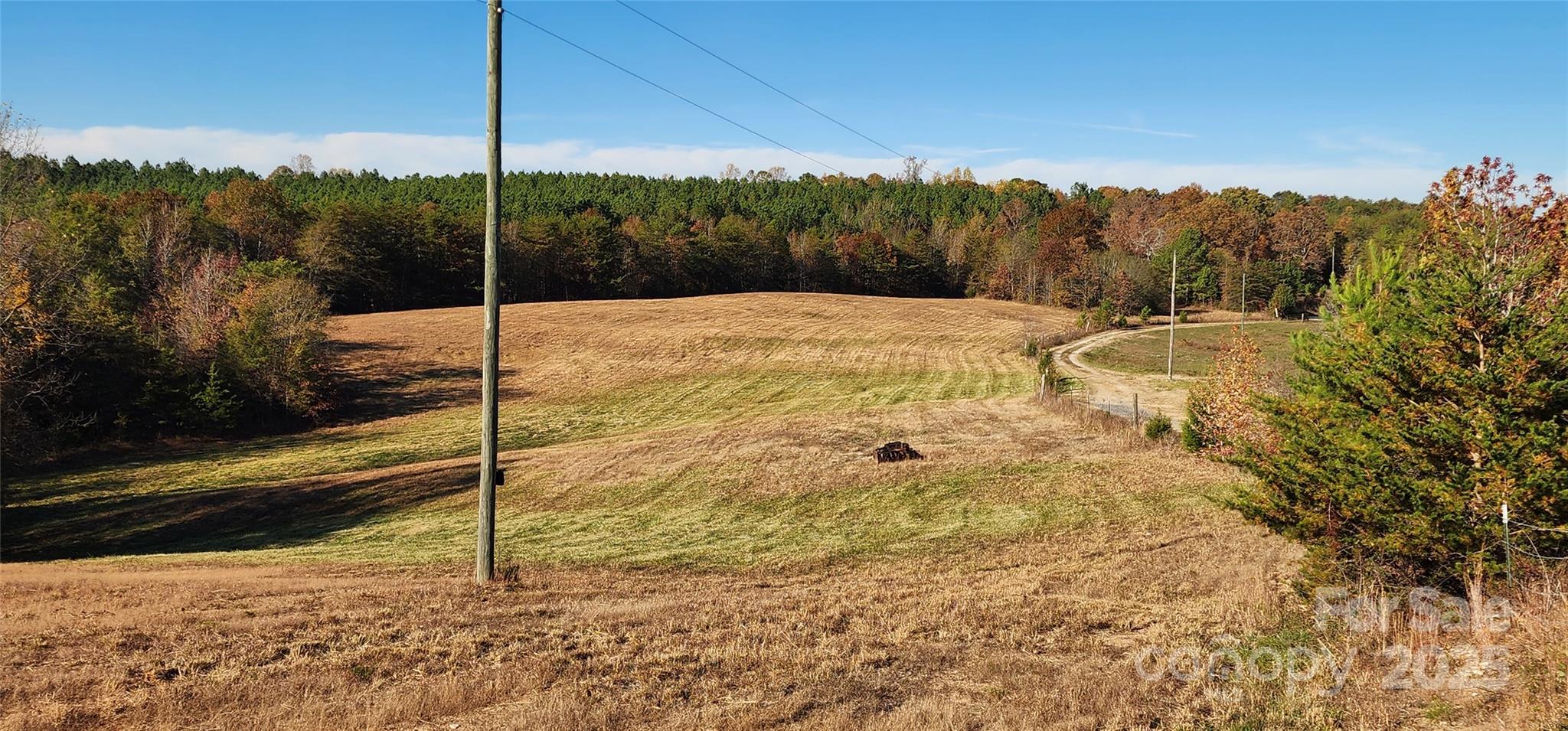 151 Cobb Road Blacksburg, SC 29702 - Photo 16 of 45 a view of a backyard