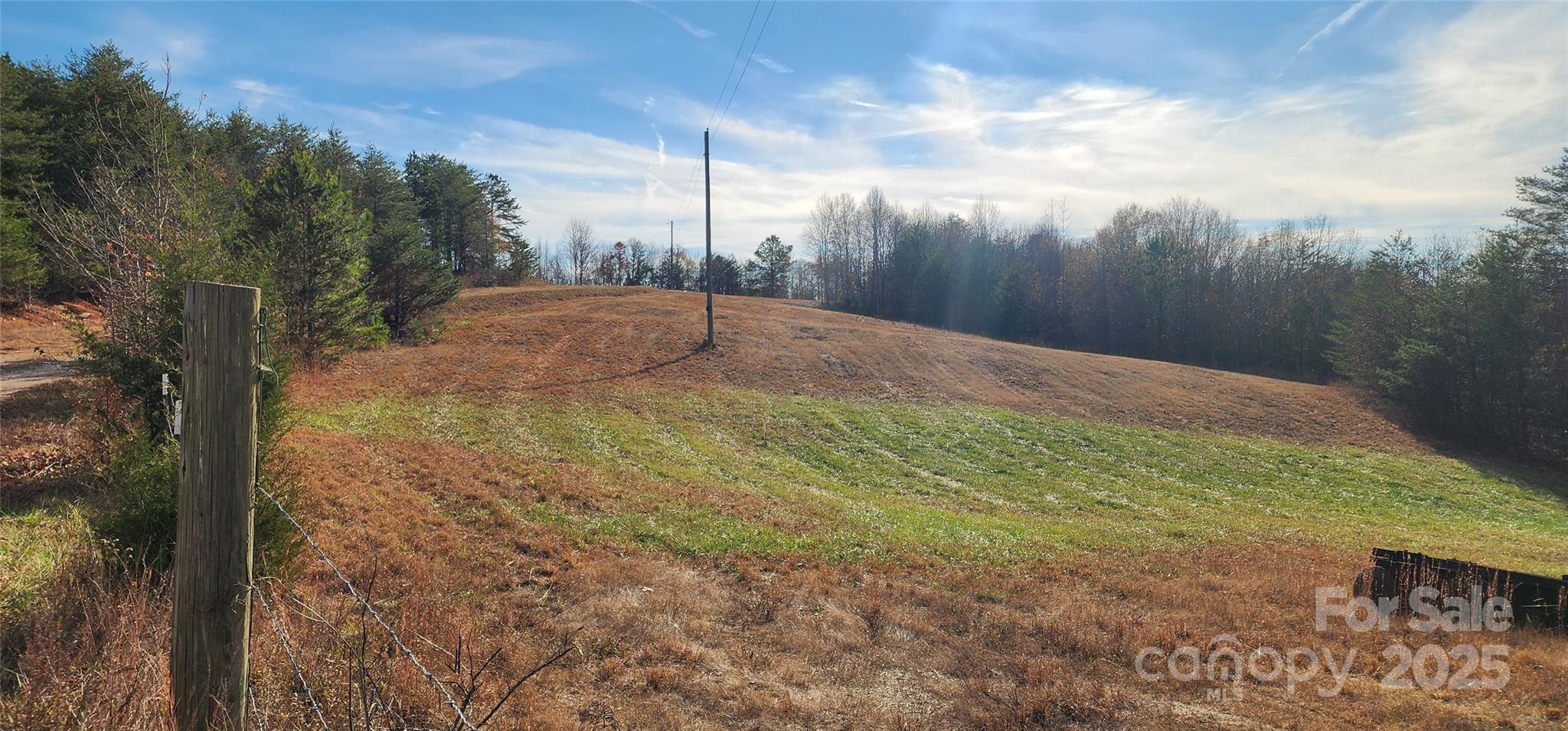 151 Cobb Road Blacksburg, SC 29702 - Photo 17 of 45 a backyard of a house with lots of green space