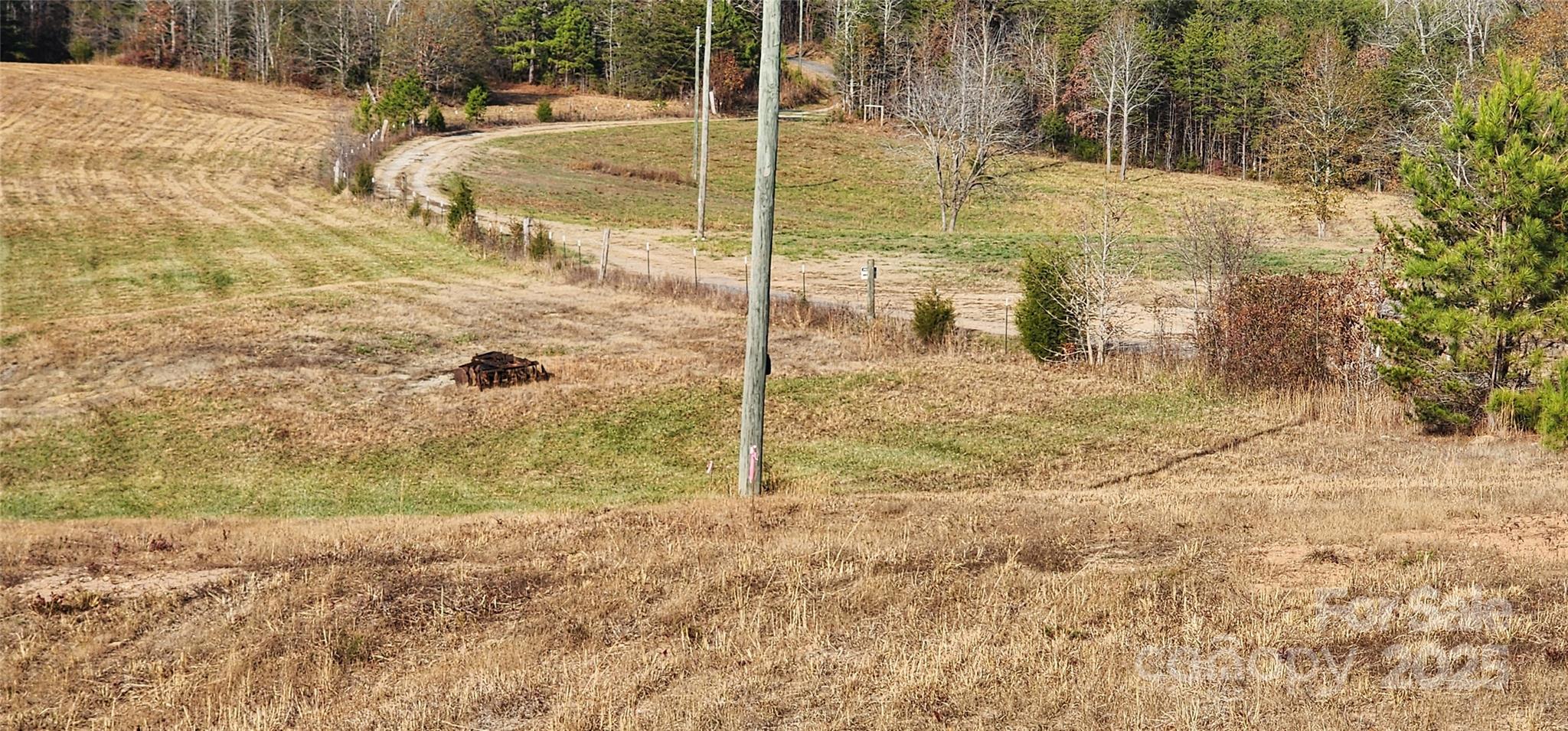 151 Cobb Road Blacksburg, SC 29702 - Photo 19 of 45 a view of a yard