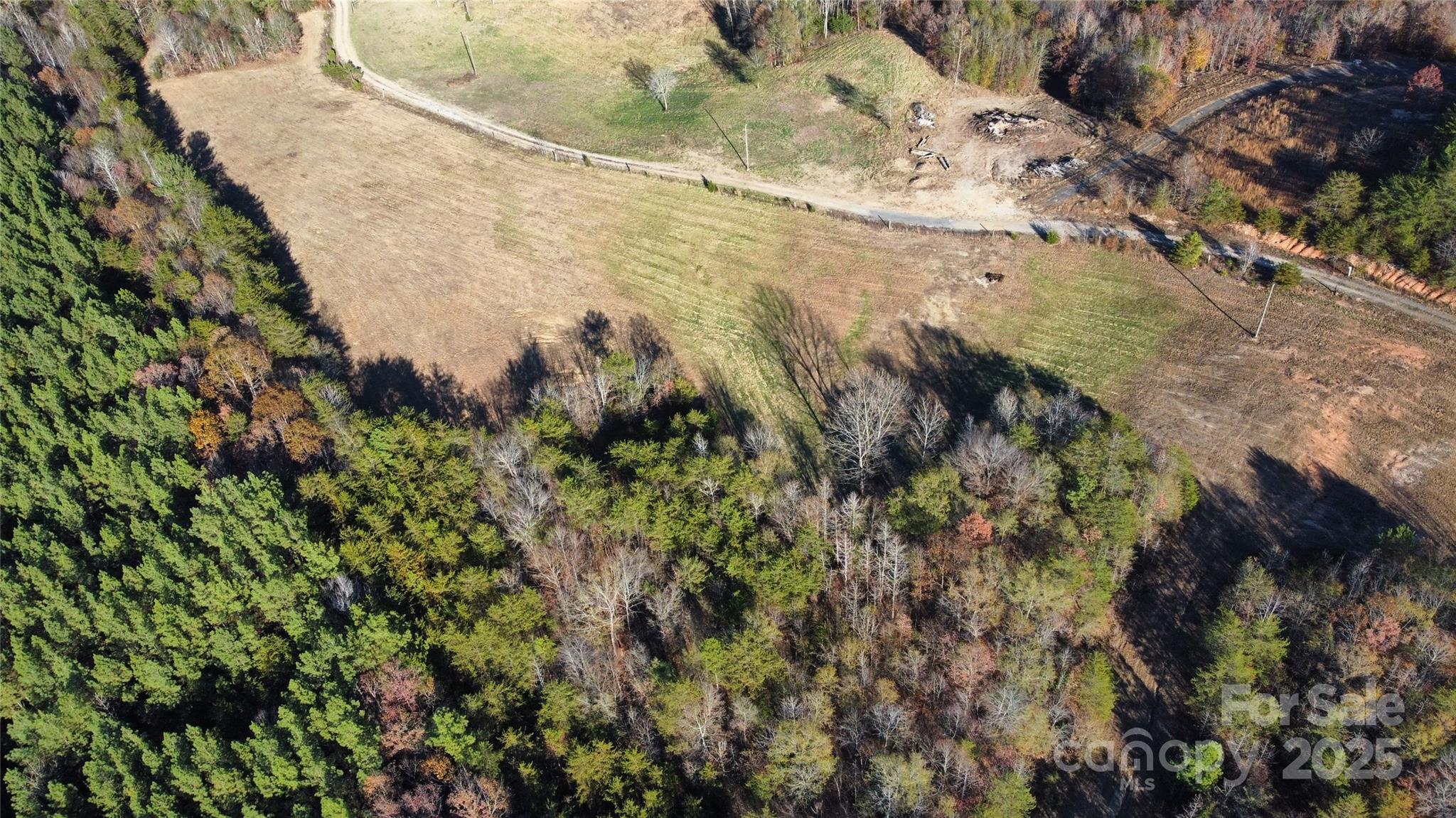 151 Cobb Road Blacksburg, SC 29702 - Photo 20 of 45 a view of a yard