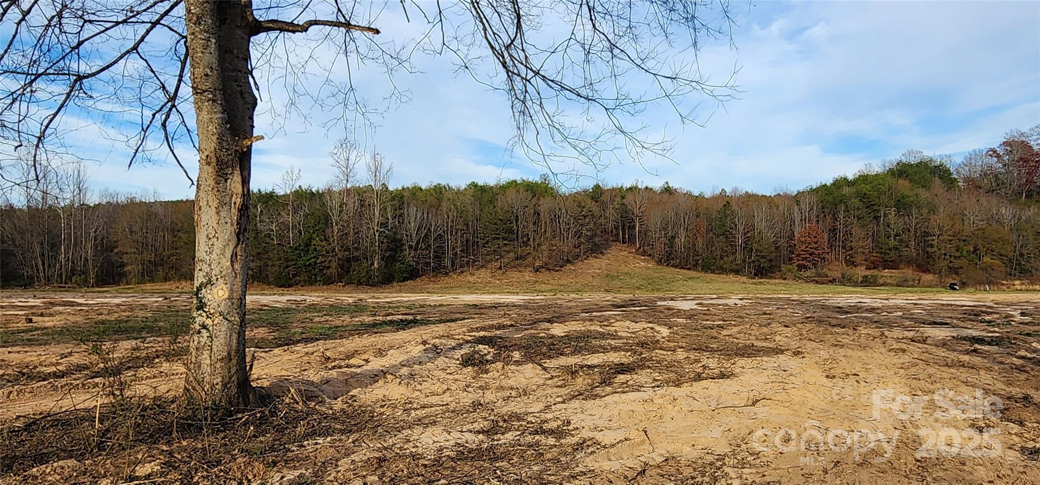 151 Cobb Road Blacksburg, SC 29702 - Photo 2 of 45 a view of a backyard of a house