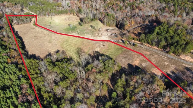 a view of trees with yard