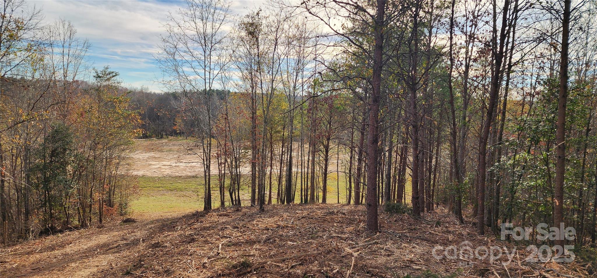 151 Cobb Road Blacksburg, SC 29702 - Photo 24 of 45 a view of a yard with large trees