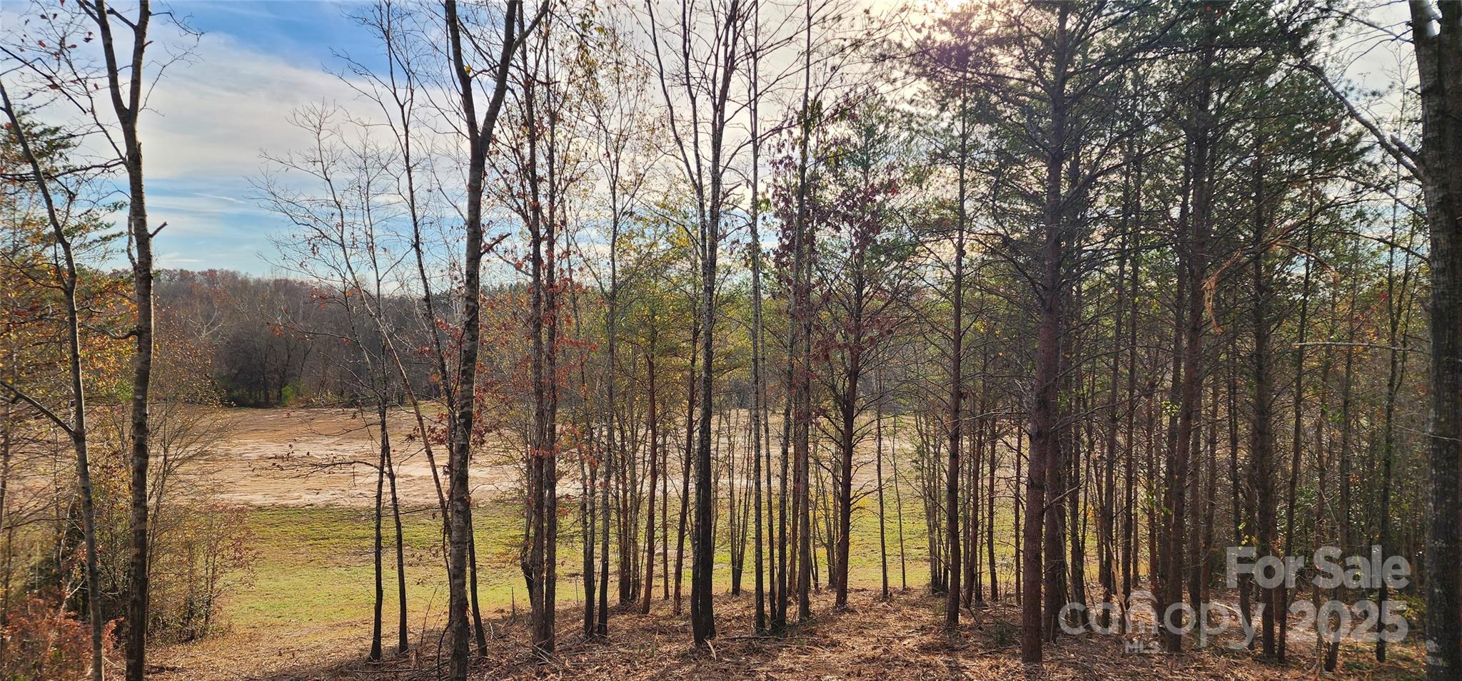 151 Cobb Road Blacksburg, SC 29702 - Photo 25 of 45 a view of outdoor space with swimming pool