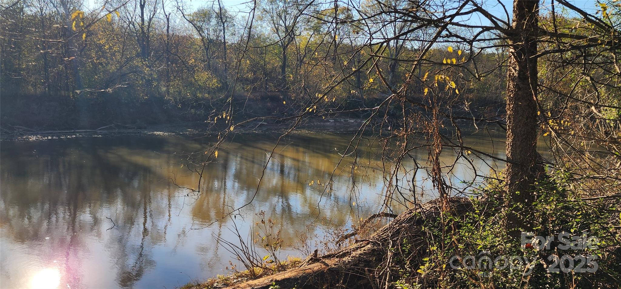 151 Cobb Road Blacksburg, SC 29702 - Photo 27 of 45 a view of lake from a yard