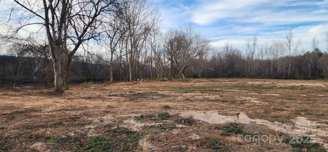 a view of a yard with mountain view