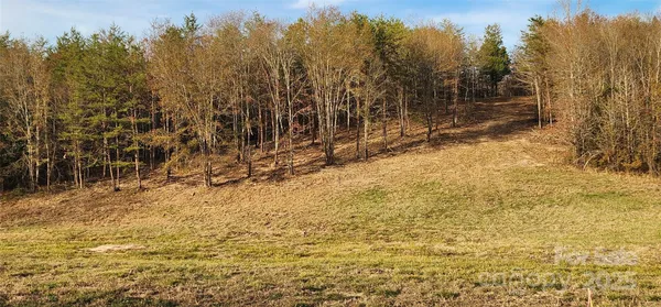 a view of a yard with trees in the background
