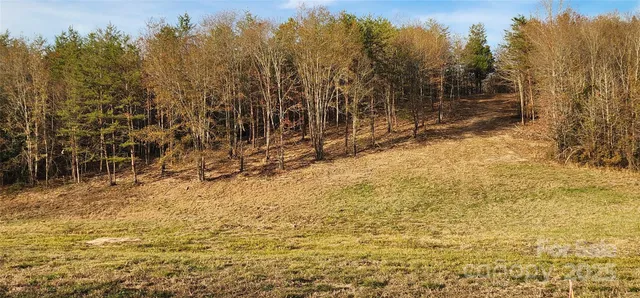 a view of a yard with trees in the background