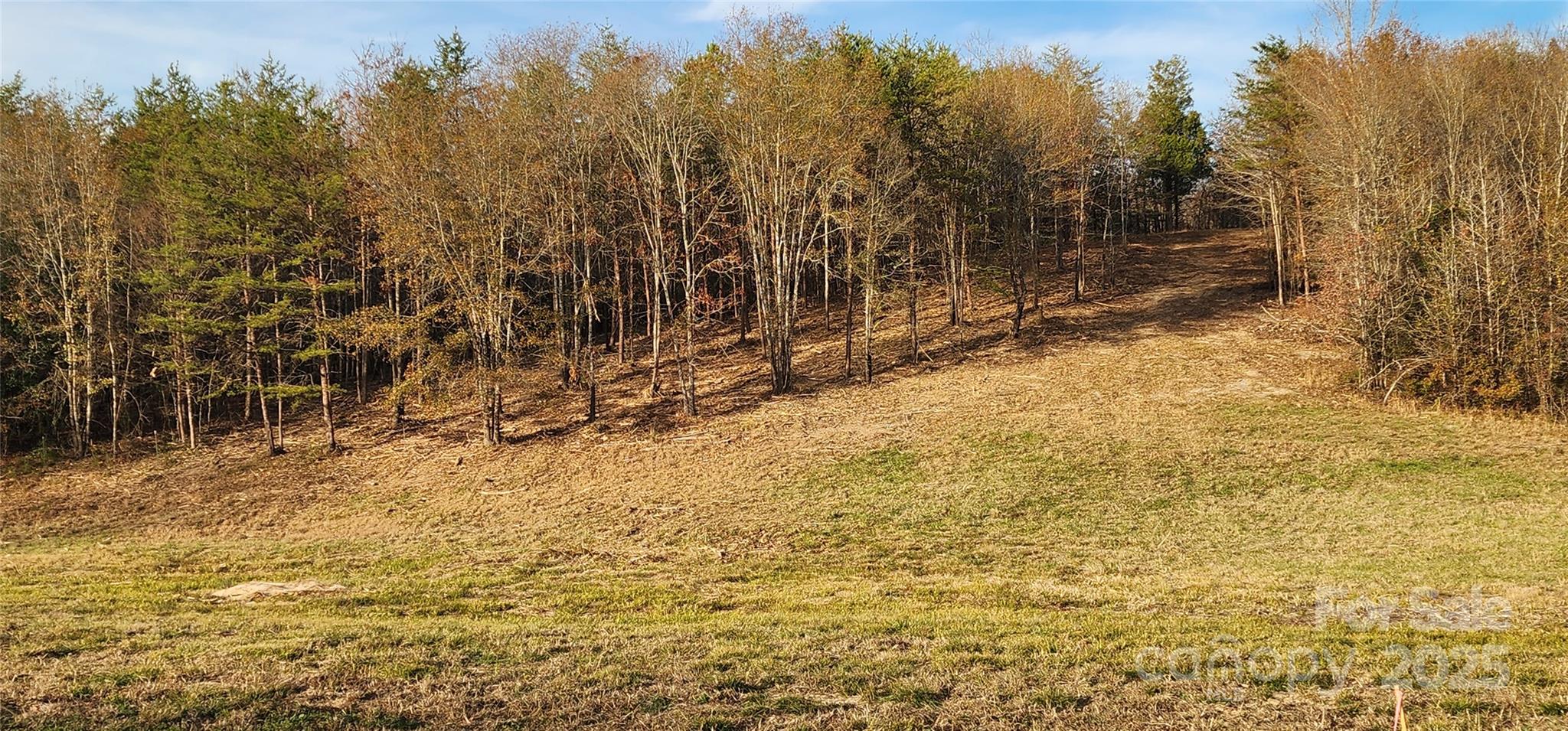 151 Cobb Road Blacksburg, SC 29702 - Photo 3 of 45 a view of a yard with trees in the background