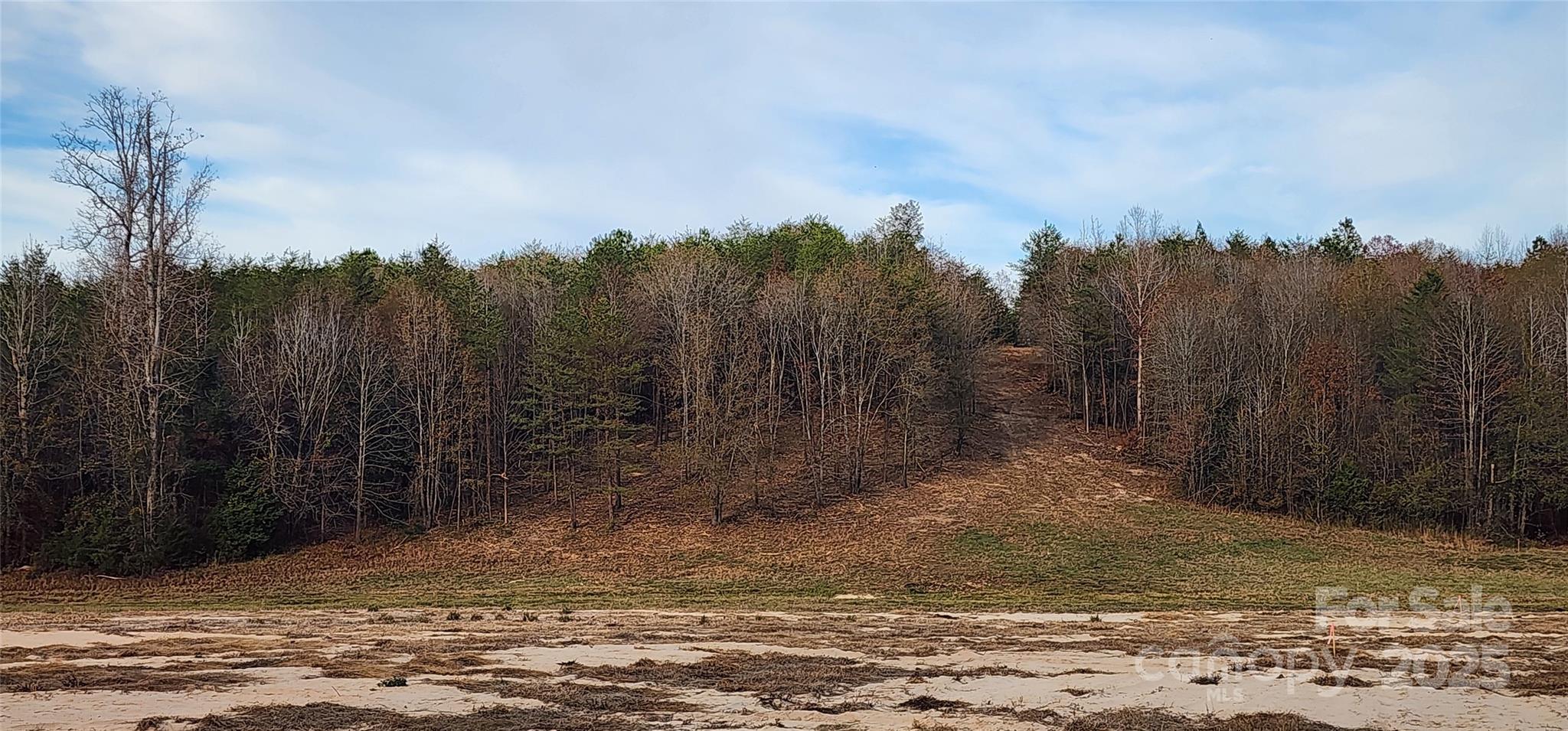 151 Cobb Road Blacksburg, SC 29702 - Photo 31 of 45 a view of a yard with mountain view