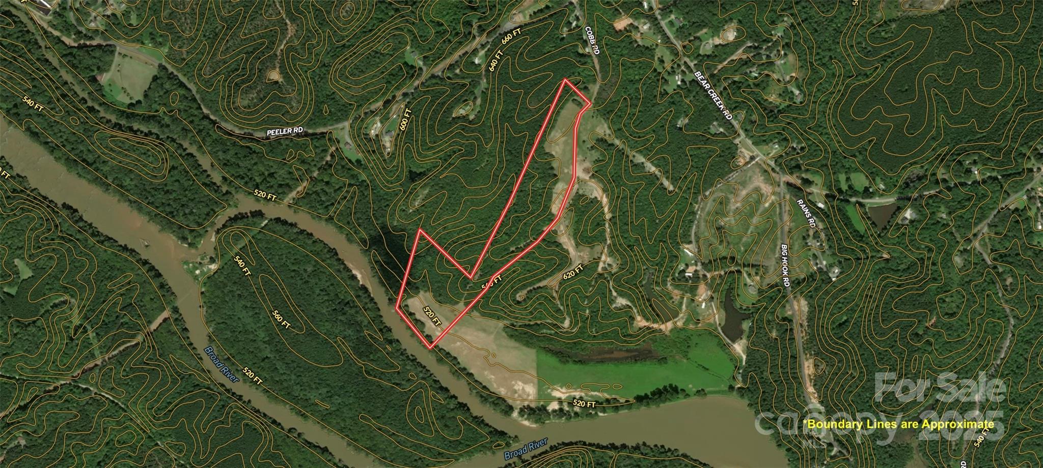 151 Cobb Road Blacksburg, SC 29702 - Photo 41 of 45 a view of a garden