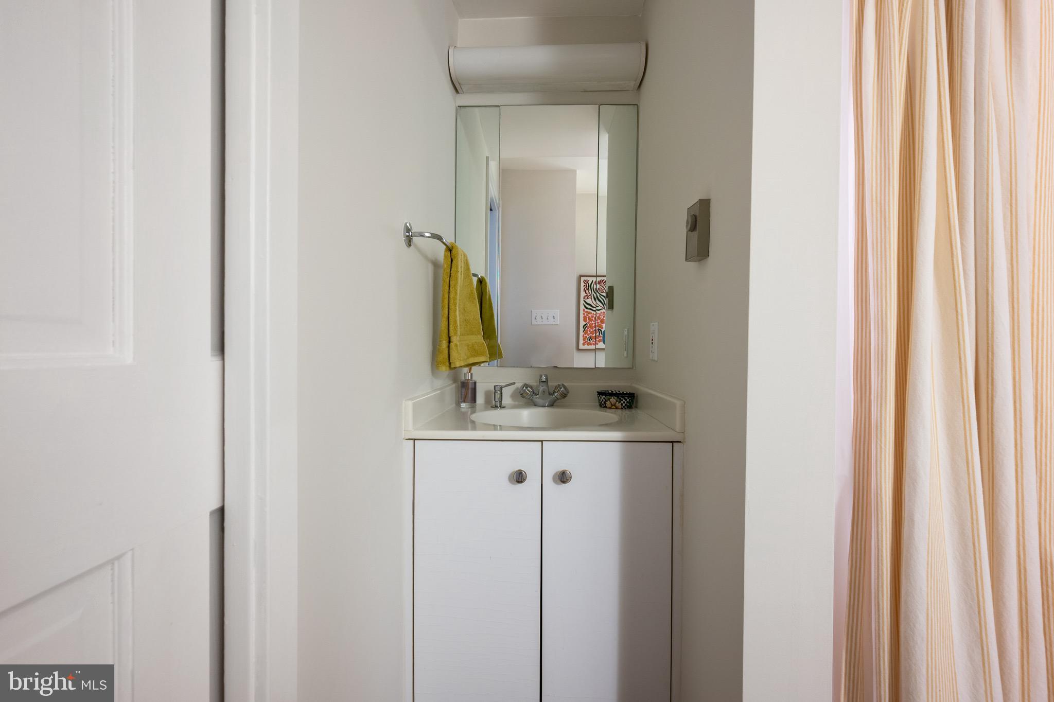 120 West Maple Street Alexandria, VA 22301 - Photo 72 of 100 Third bath with shower