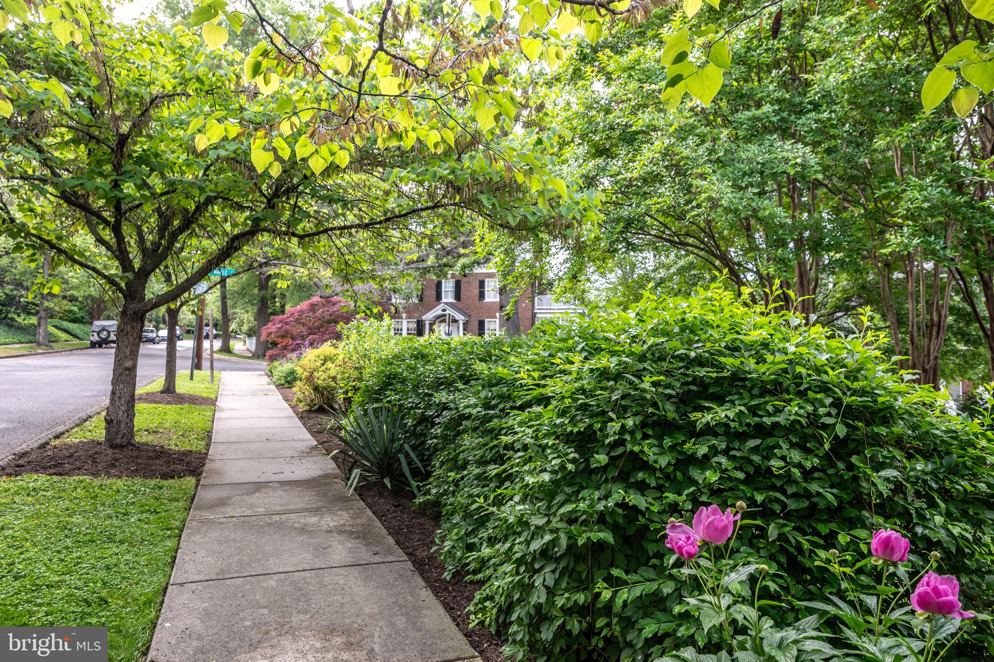 120 West Maple Street Alexandria, VA 22301 - Photo 82 of 100