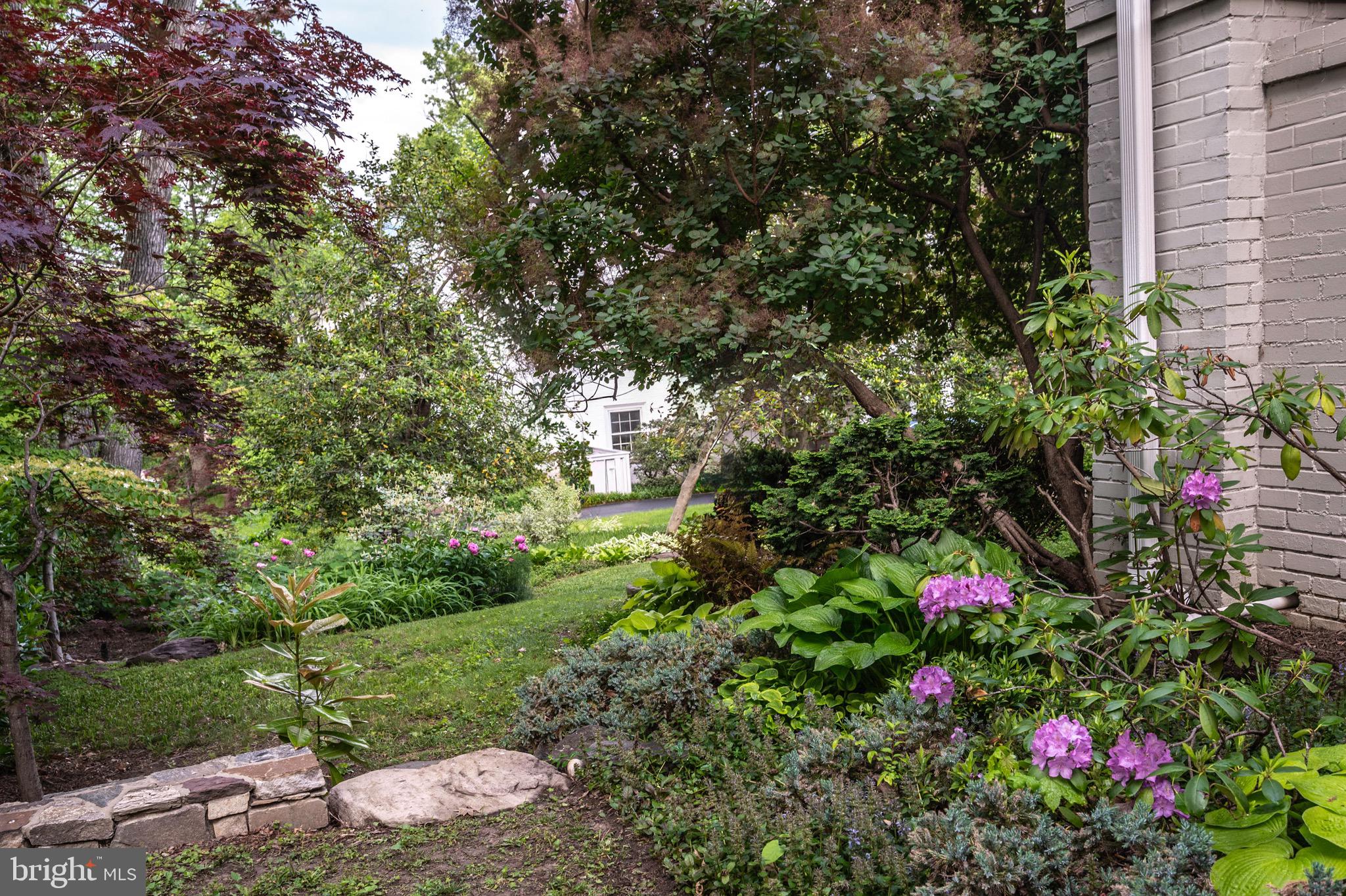 120 West Maple Street Alexandria, VA 22301 - Photo 84 of 100 Mature gardens