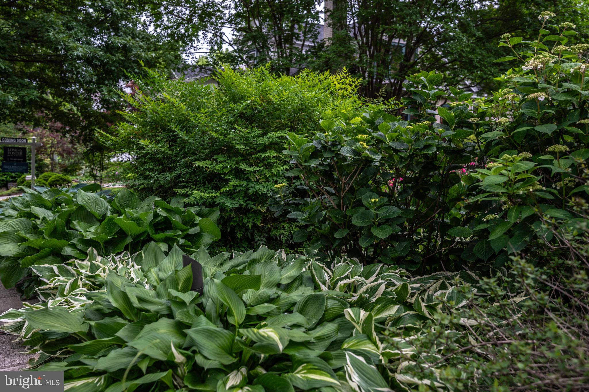 120 West Maple Street Alexandria, VA 22301 - Photo 87 of 100