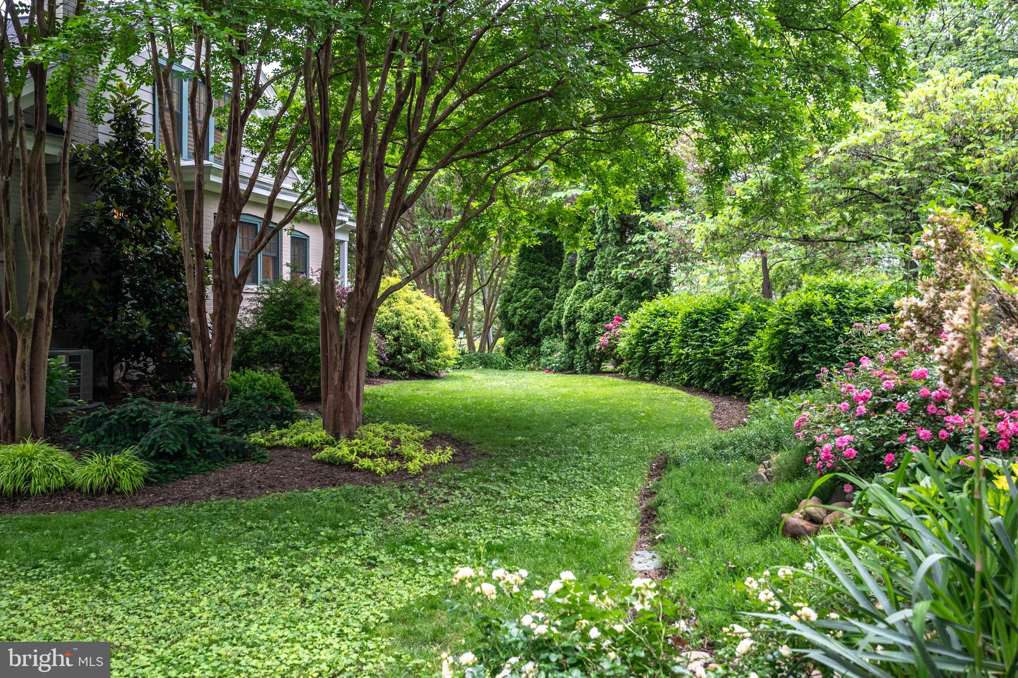 120 West Maple Street Alexandria, VA 22301 - Photo 88 of 100 a view of a garden with plants