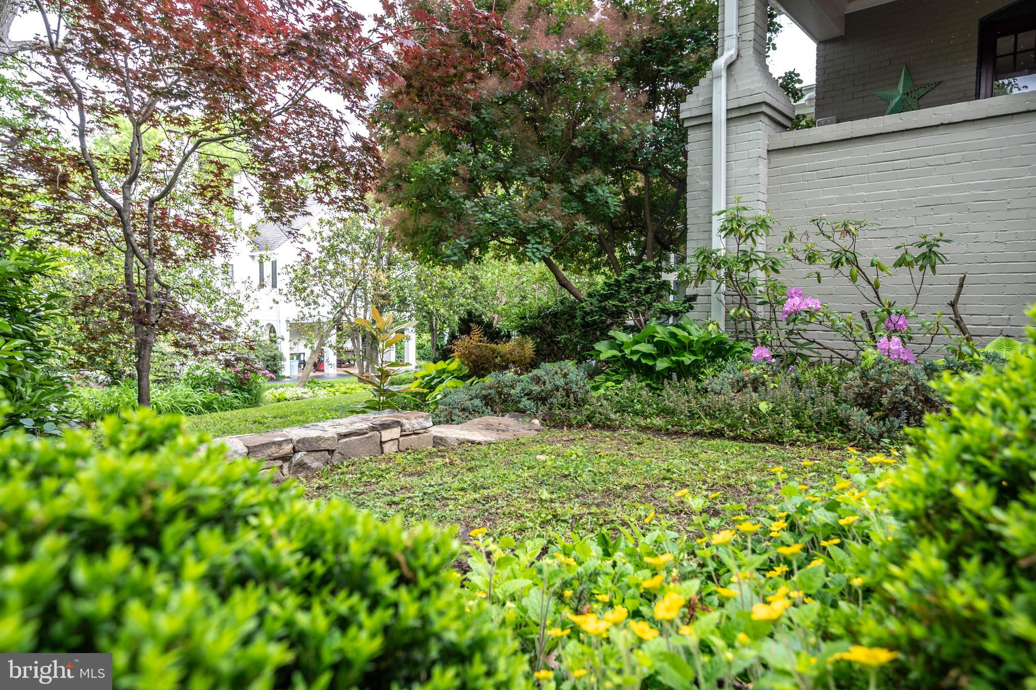 120 West Maple Street Alexandria, VA 22301 - Photo 94 of 100 a view of yard with green space