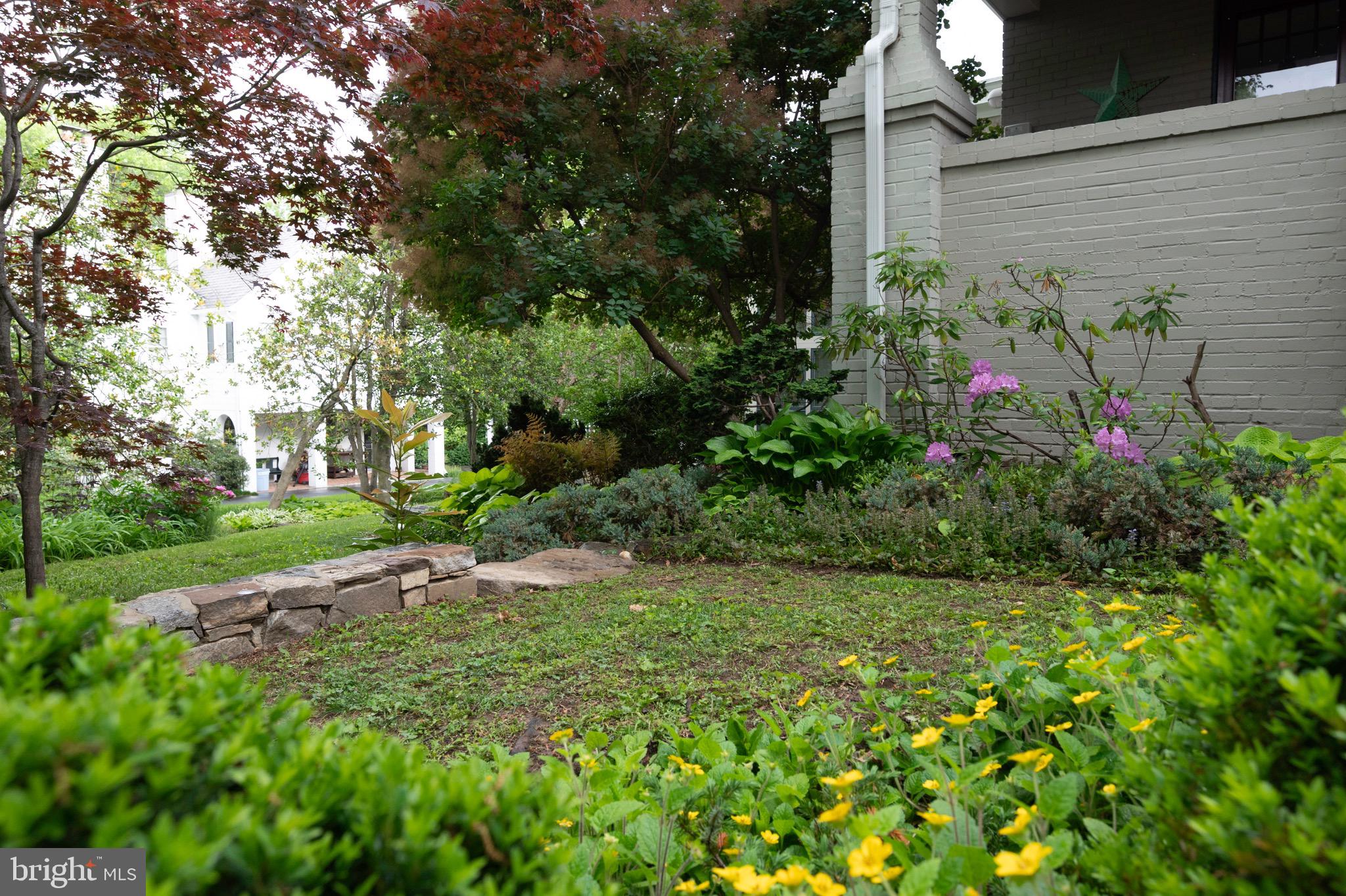 120 West Maple Street Alexandria, VA 22301 - Photo 95 of 100