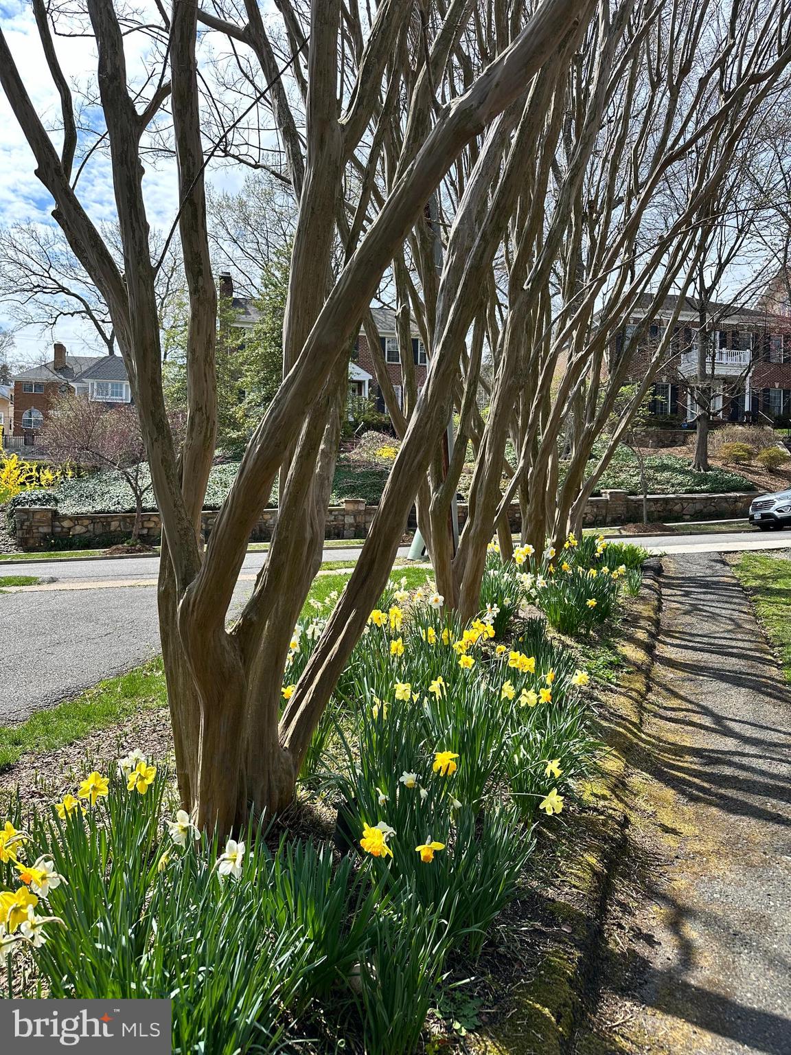 120 West Maple Street Alexandria, VA 22301 - Photo 99 of 100