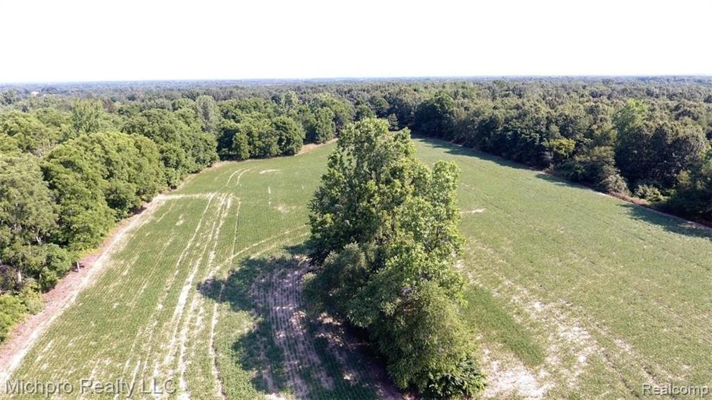 Parcel 2 South Lapeer Road Metamora, MI 48455 - Photo 17 of 17