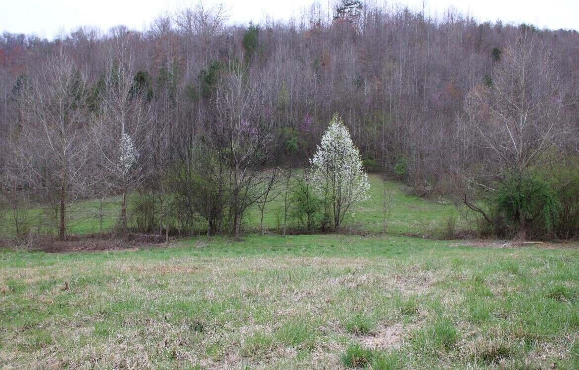 20230310221131977869000000-o