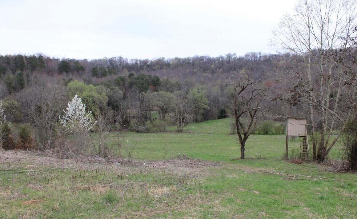 1094 Rhea County Highway, Unit LOT 4 Dayton, TN 37321 - Photo 8 of 9 20230310221024641177000000-o