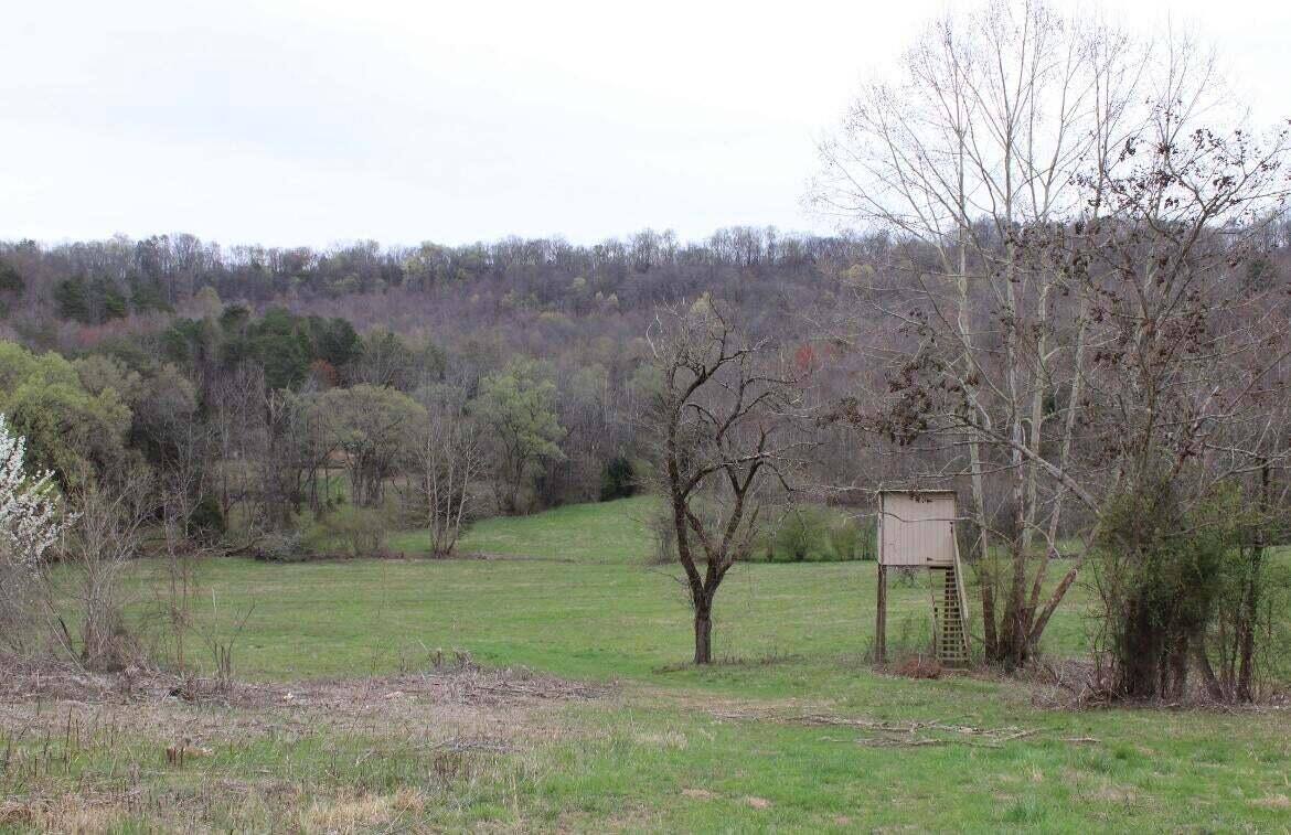 1094 Rhea County Highway, Unit LOT 4 Dayton, TN 37321 - Photo 9 of 9 20230310221040310586000000-o