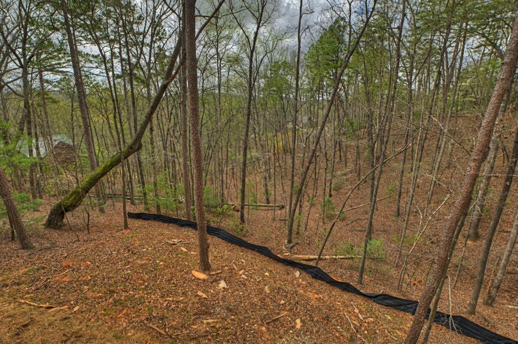 962 Maggie Chapman Road Blue Ridge, GA 30513 - Photo 28 of 28 Gallery Image 28