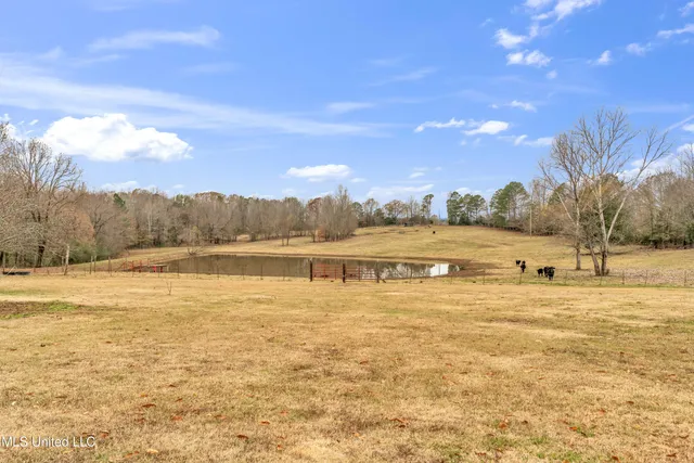 $550,000 | 6036 Mudline Road, Enid, MS 38927