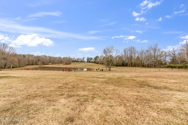 $550,000 | 6036 Mudline Road, Enid, MS 38927