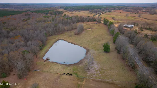 $550,000 | 6036 Mudline Road, Enid, MS 38927