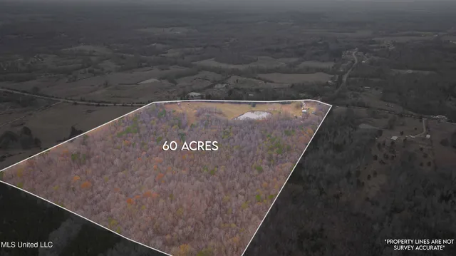 $550,000 | 6036 Mudline Road, Enid, MS 38927