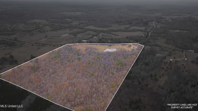 $550,000 | 6036 Mudline Road, Enid, MS 38927