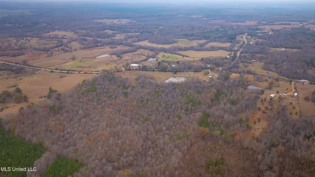 $550,000 | 6036 Mudline Road, Enid, MS 38927