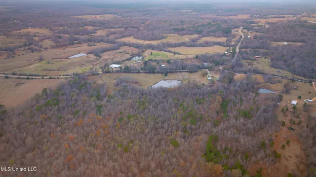 $550,000 | 6036 Mudline Road, Enid, MS 38927