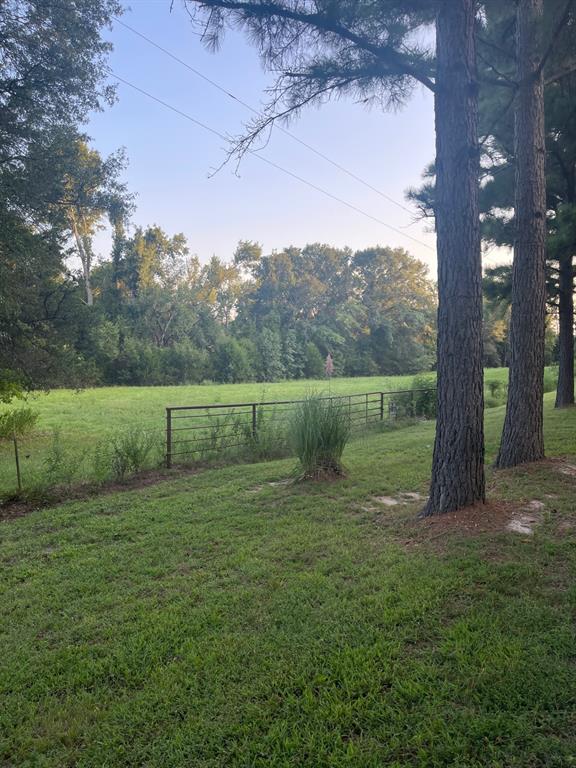 a view of a field with a tree in the background