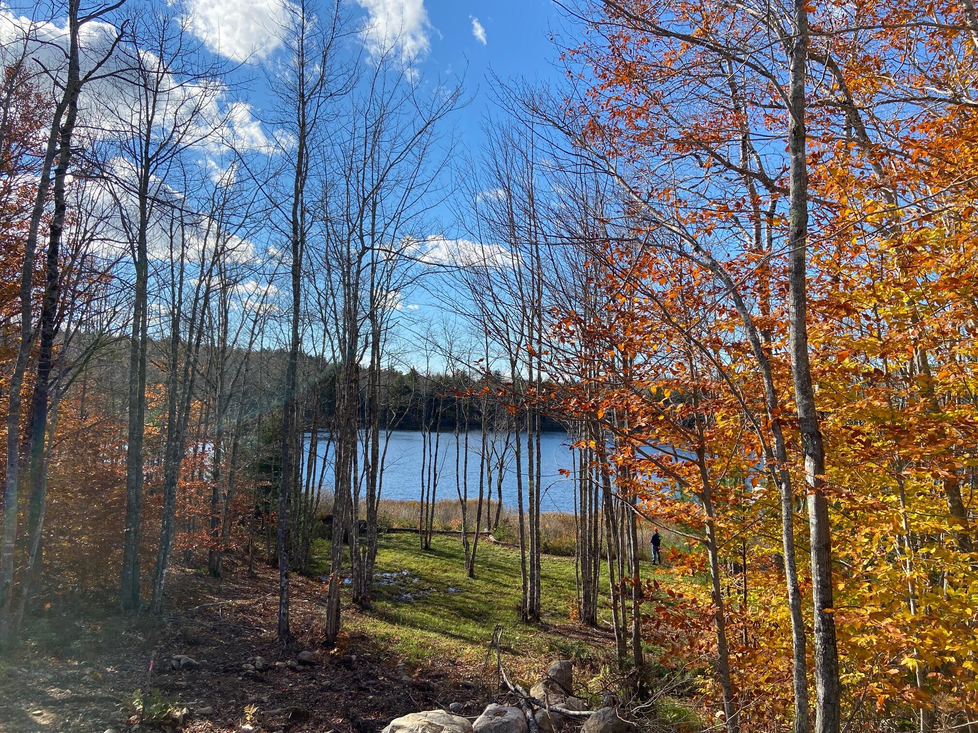 786 Pond Road Gouldsboro, ME 04607 - Photo 1 of 24 IMG_4429
