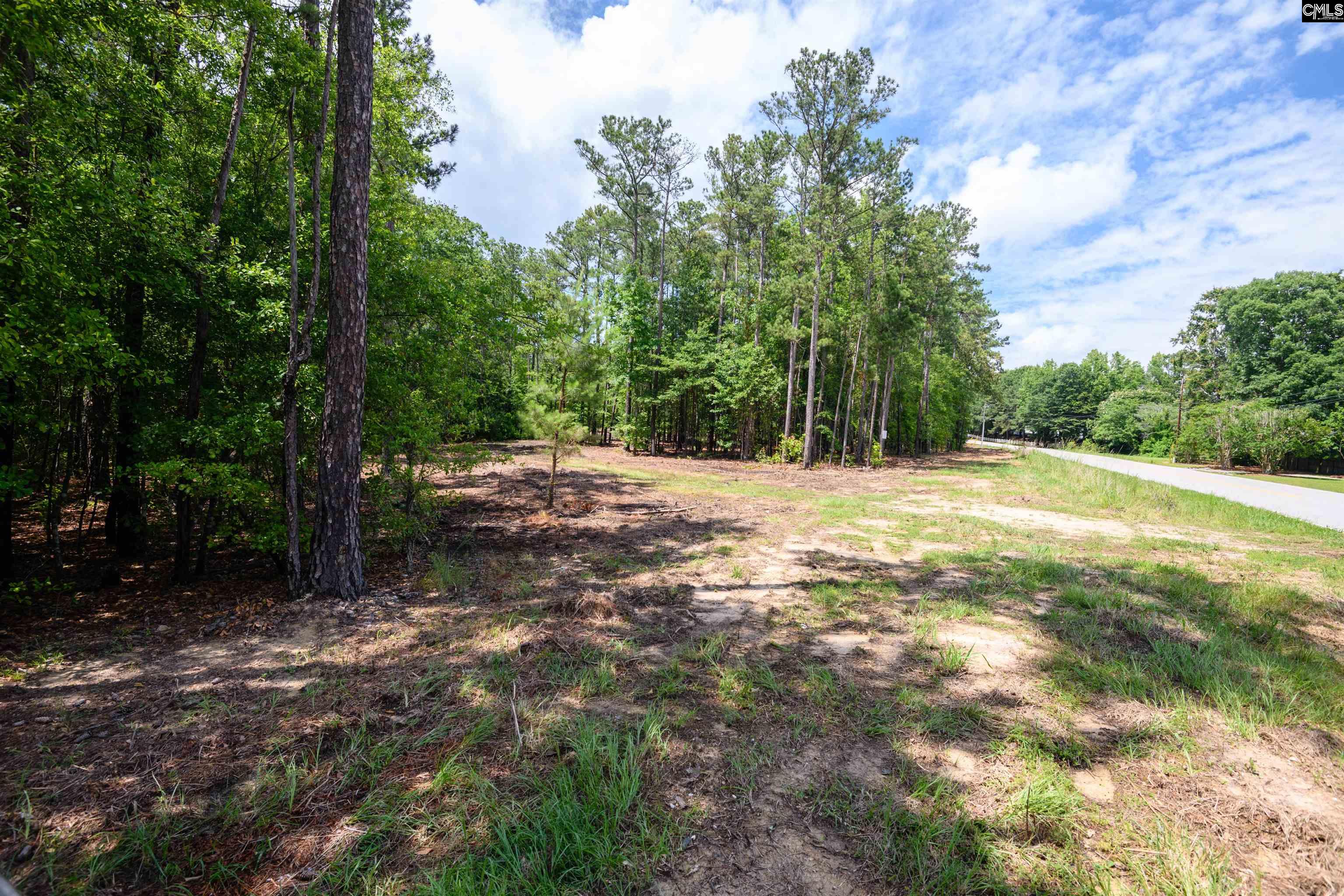 227 State Rd S-32-145, Unit LOT 1 Lexington, SC 29072 - Photo 10 of 23