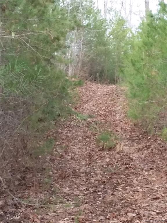 999 South Wilson Hill Road Mill Spring, NC 28756 - Photo 2 of 26 a view of a yard with a trees
