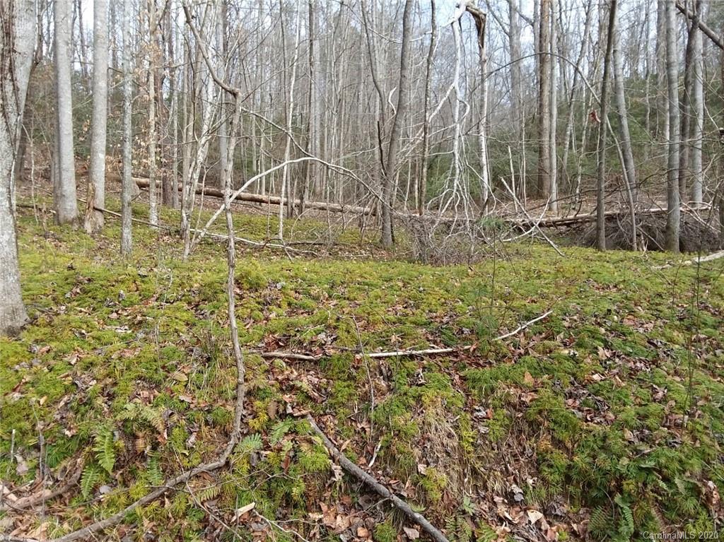 999 South Wilson Hill Road Mill Spring, NC 28756 - Photo 19 of 26