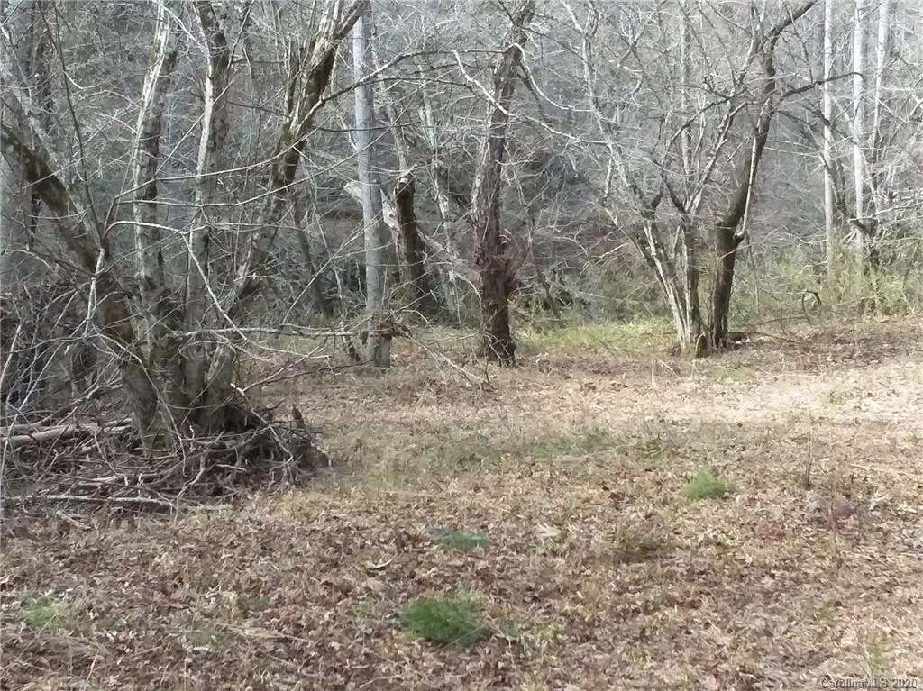 999 South Wilson Hill Road Mill Spring, NC 28756 - Photo 21 of 26 a view of a yard with trees