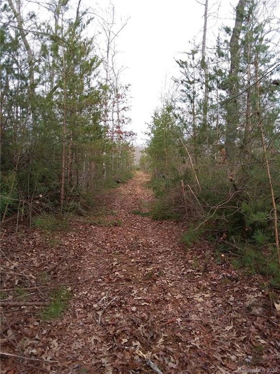 999 South Wilson Hill Road Mill Spring, NC 28756 - Photo 26 of 26 a view of a forest with trees in the background